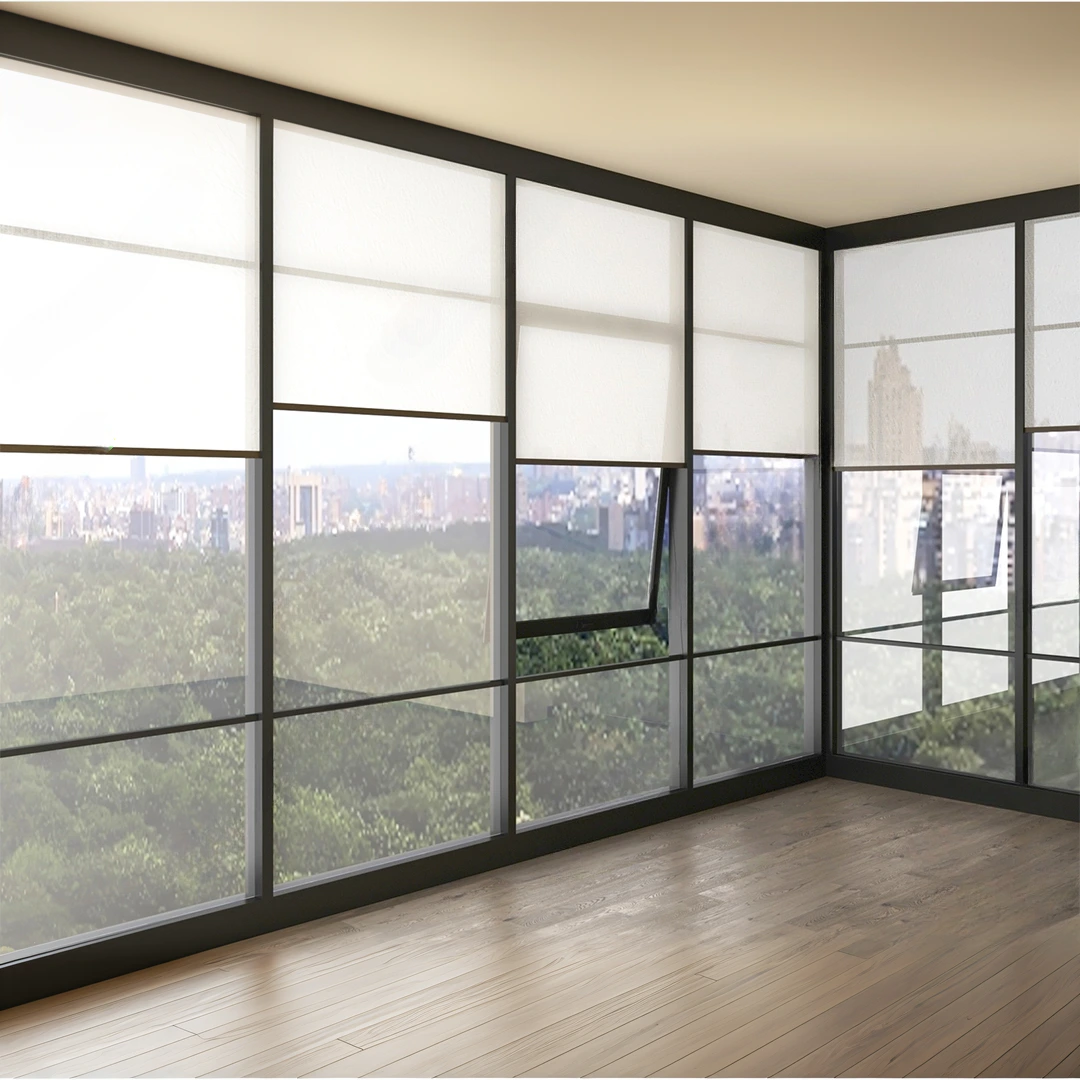 Aluminum awning na may double glazed na bintana 1